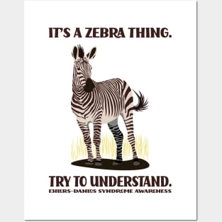 It's a Zebra Thing. Try to Understand. Posters and Art